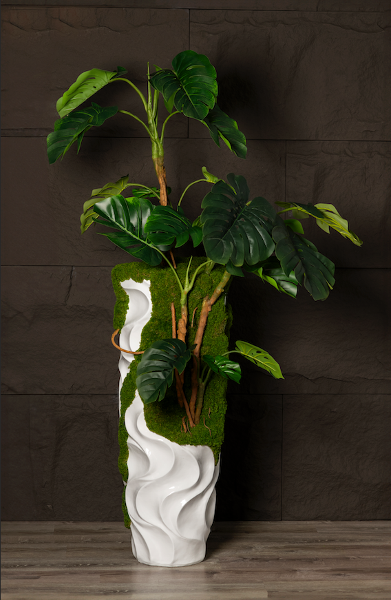 Overgrown Monstera in a Vertical Wave Pattern Planter – Leaf & Branch