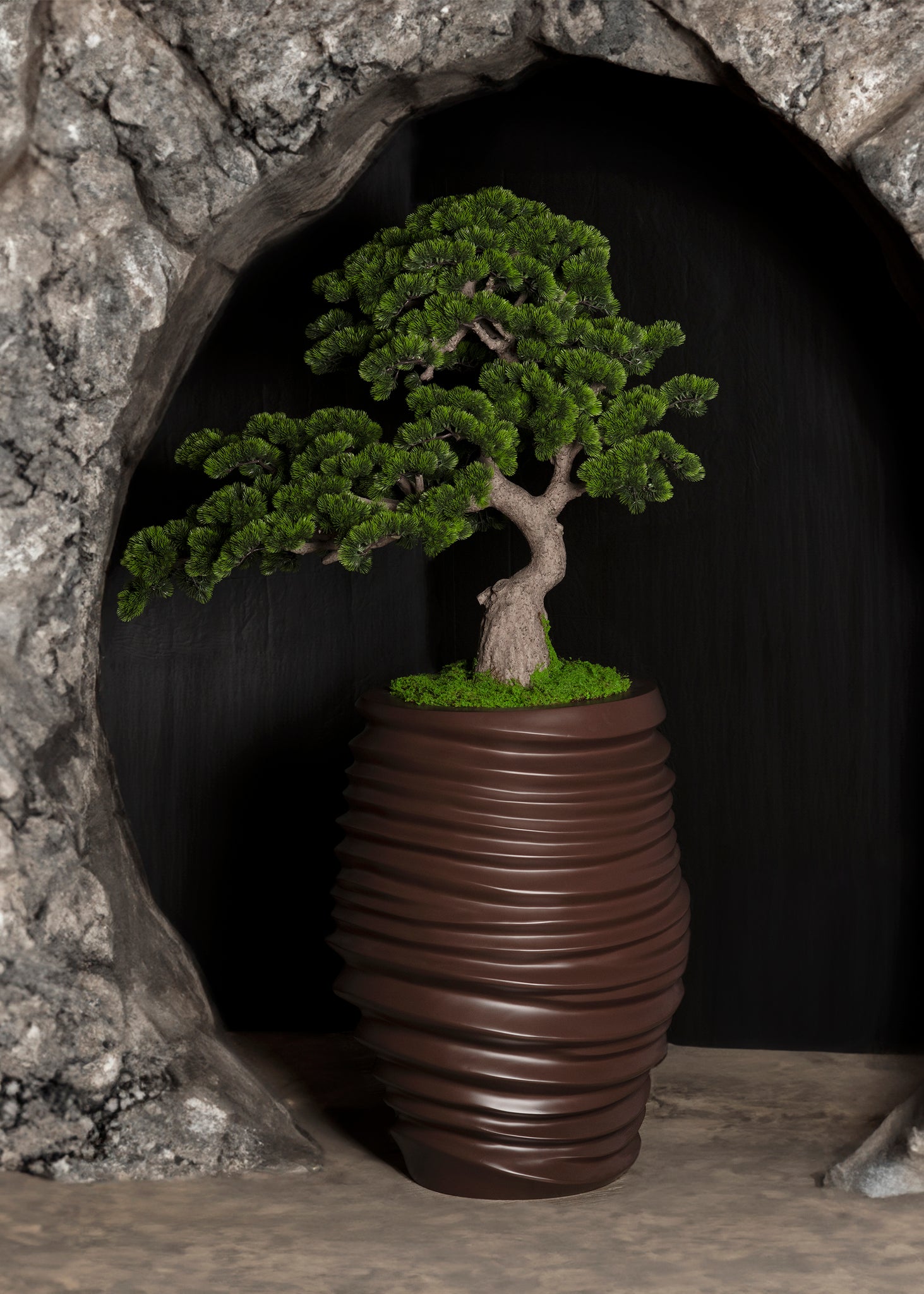 bonsai tree planter Pine Bonsai in a Swirled Planter