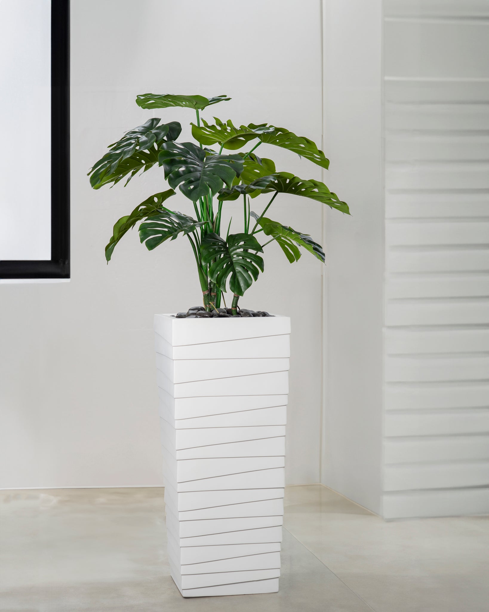 planter for monstera plant Monstera in an Embossed Planter – Leaf & Branch