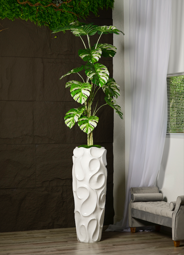 large indoor planter for monstera Tall Variegated Monstera in a Wave Pattern Planter – Leaf & Branch